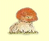 Amiata's mushroom